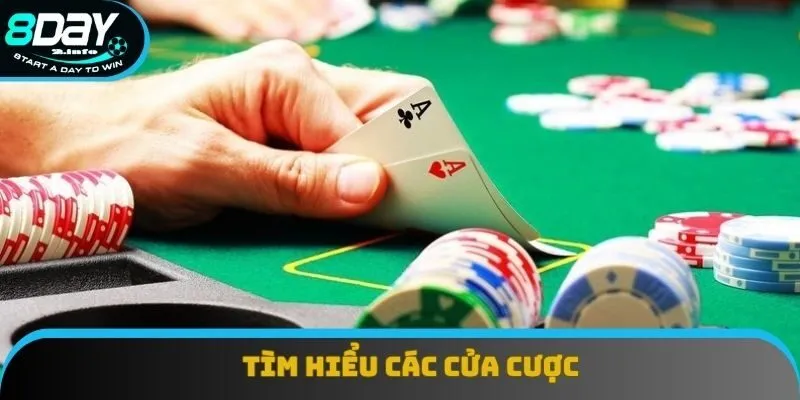 Tìm hiểu các cửa cược trong Baccarat 8day