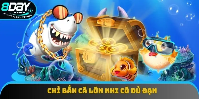Chỉ bắn cá lớn khi có đủ đạn