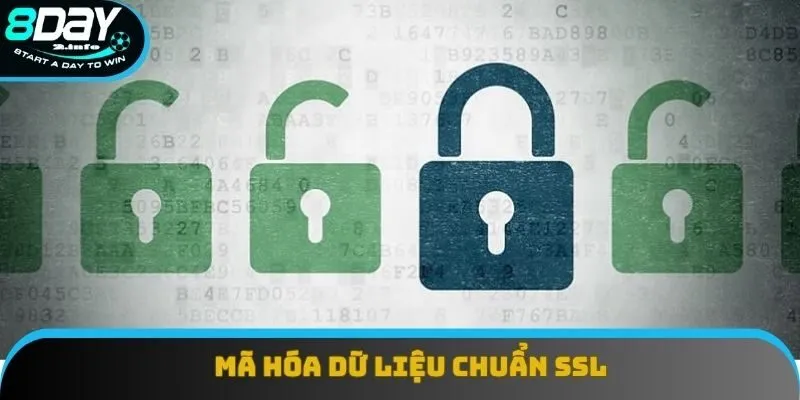 Chuyển dữ liệu sang ký tự theo chính sách bảo mật 8DAY