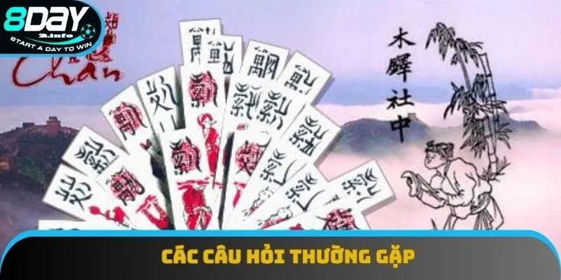 Các câu hỏi thường gặp