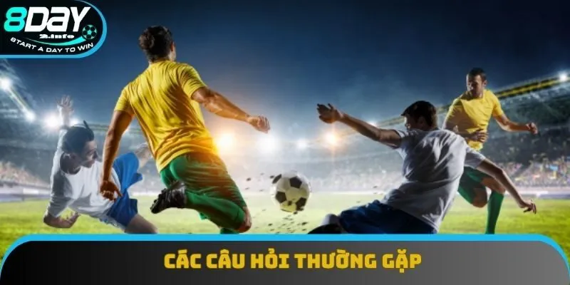 Các câu hỏi thường gặp
