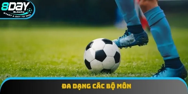 Đa dạng các bộ môn