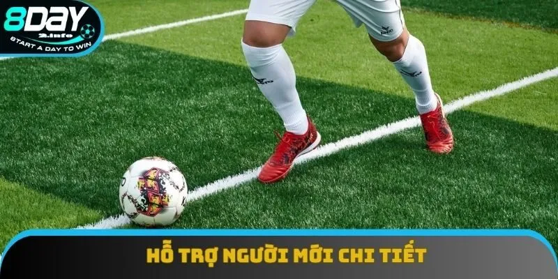 Hỗ trợ người mới chi tiết