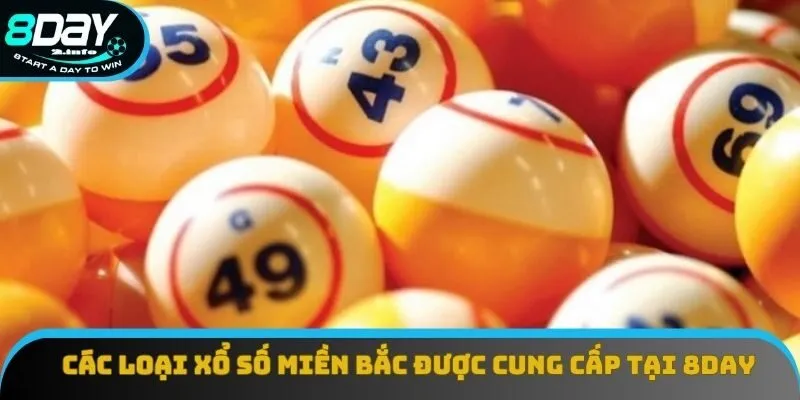 Các loại xổ số miền Bắc được cung cấp tại 8day