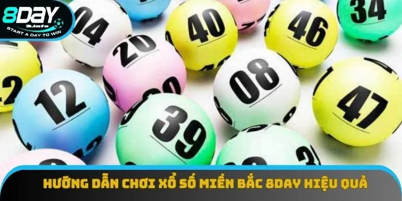 Hướng dẫn chơi xổ số miền Bắc 8day hiệu quả