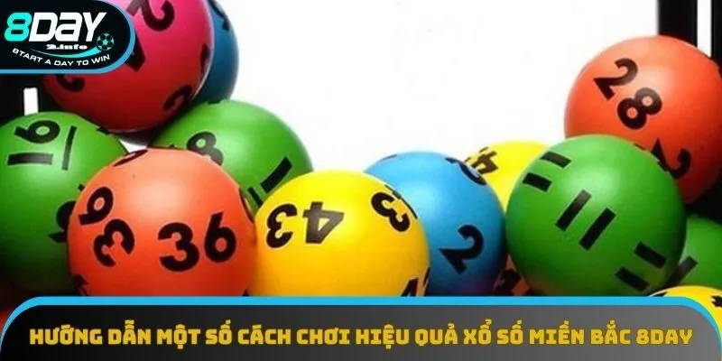 Hướng dẫn một số cách chơi hiệu quả xổ số miền Bắc 8day